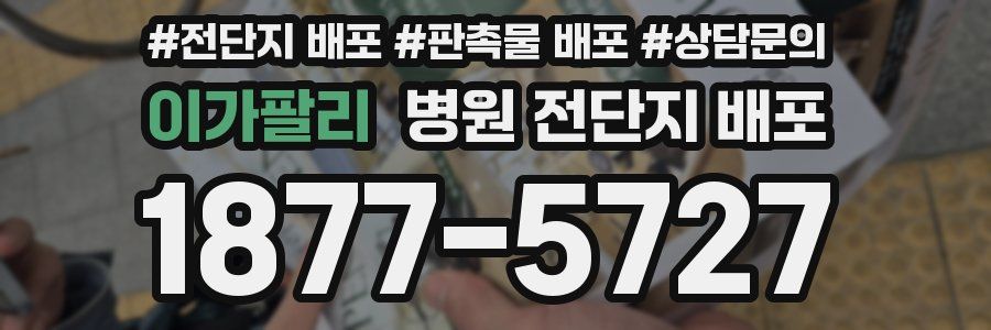 이가팔리 병원 전단지 배포