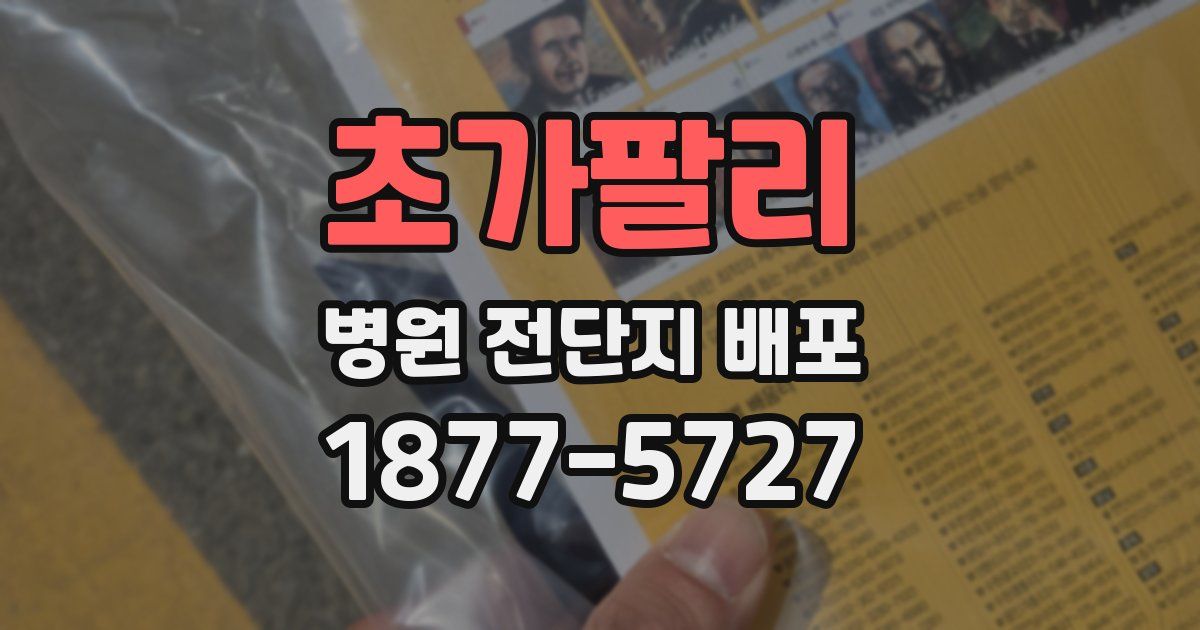 초가팔리 병원 전단지 배포