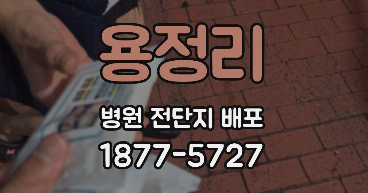 용정리 병원 전단지 배포