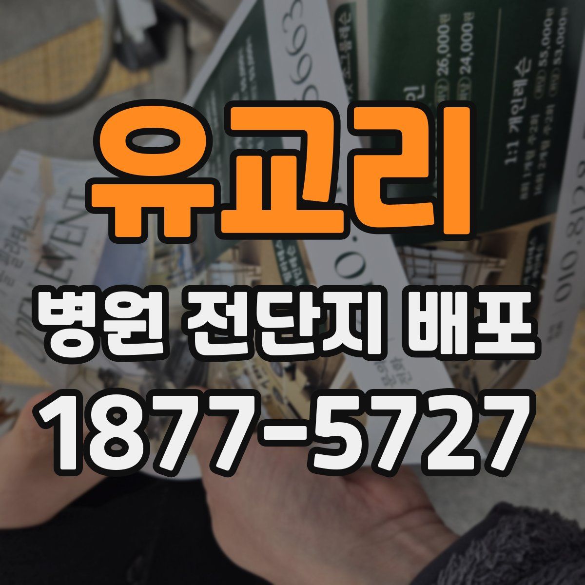 유교리 병원 전단지 배포