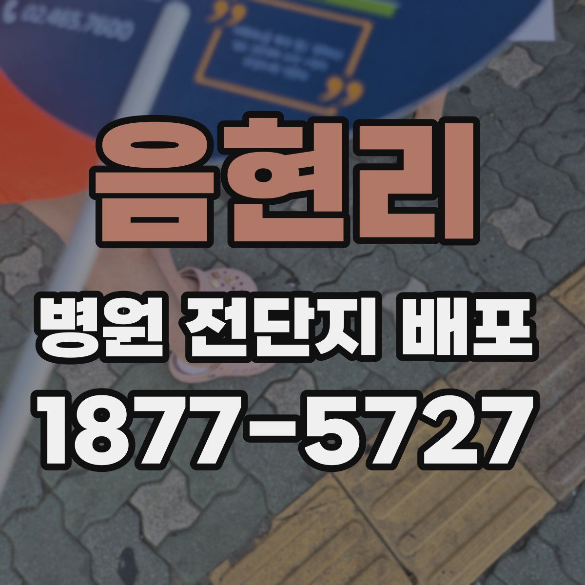 음현리 병원 전단지 배포