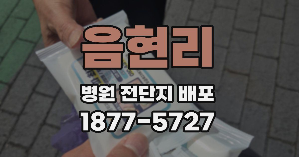 음현리 병원 전단지 배포
