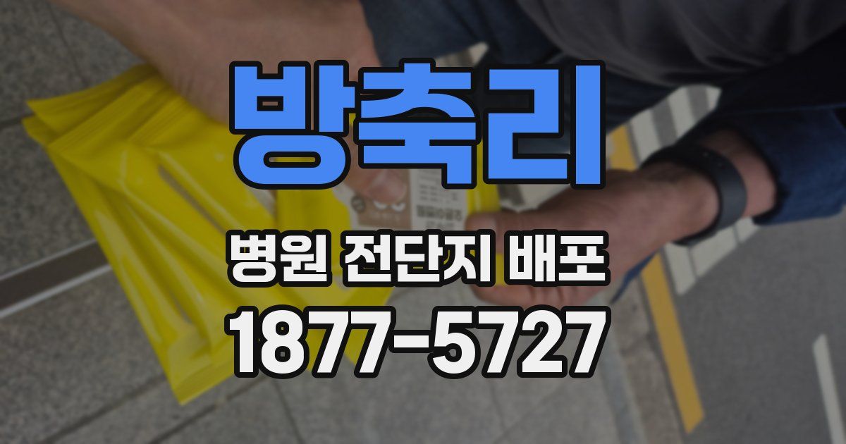 방축리 병원 전단지 배포
