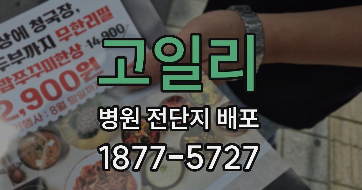 고일리 병원 전단지 배포