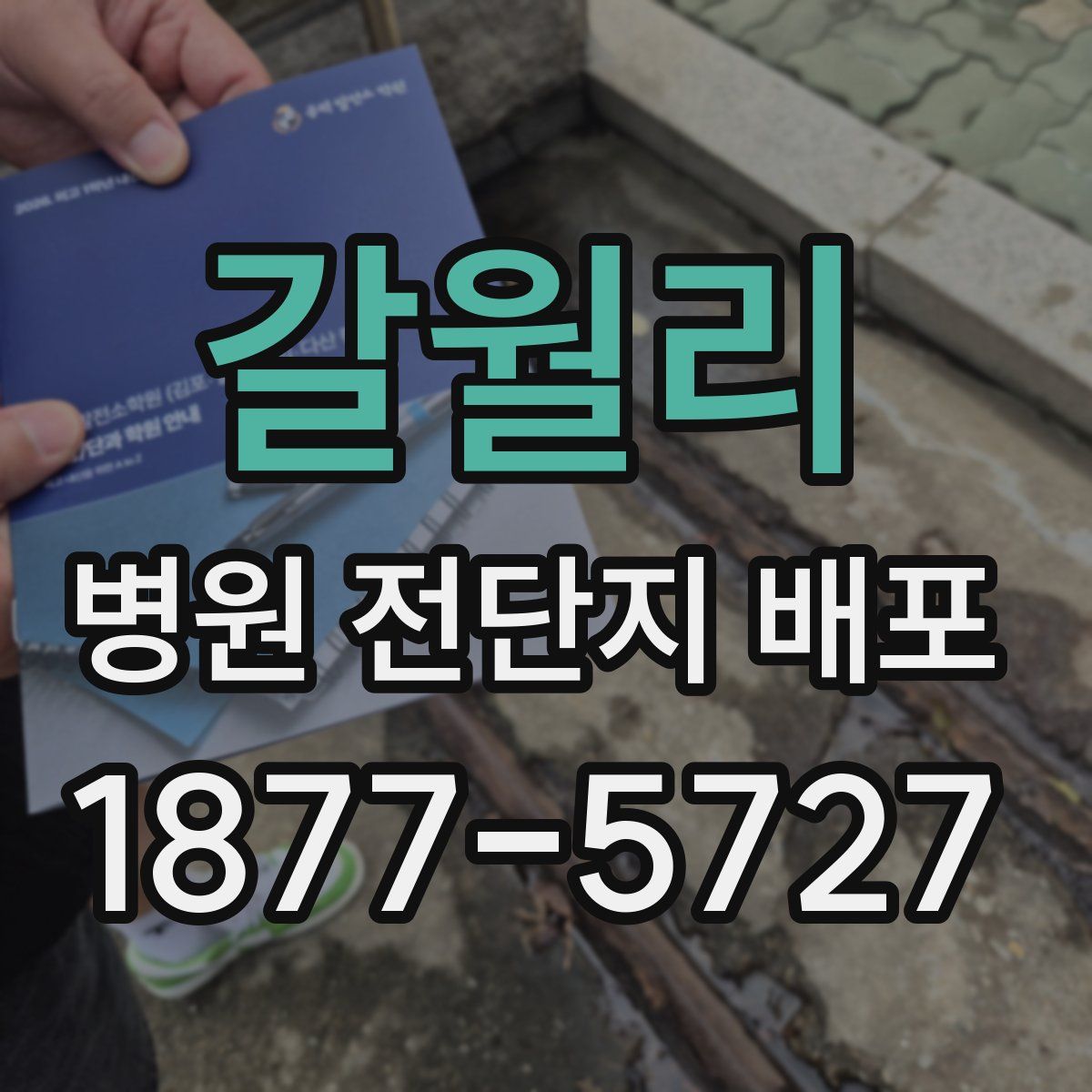 갈월리 병원 전단지 배포