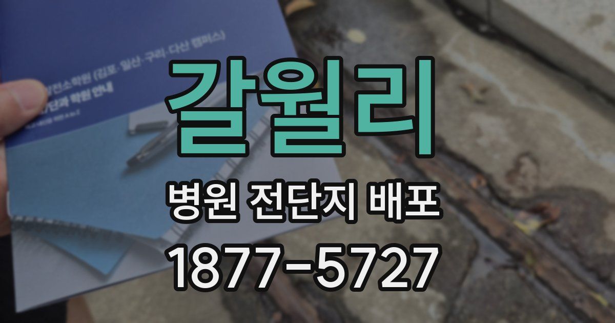 갈월리 병원 전단지 배포