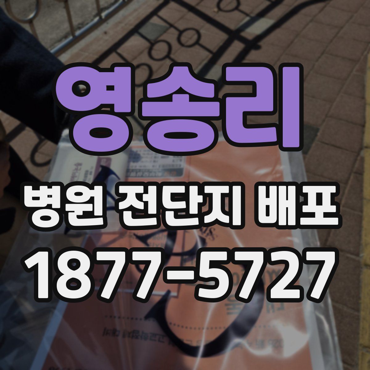 영송리 병원 전단지 배포