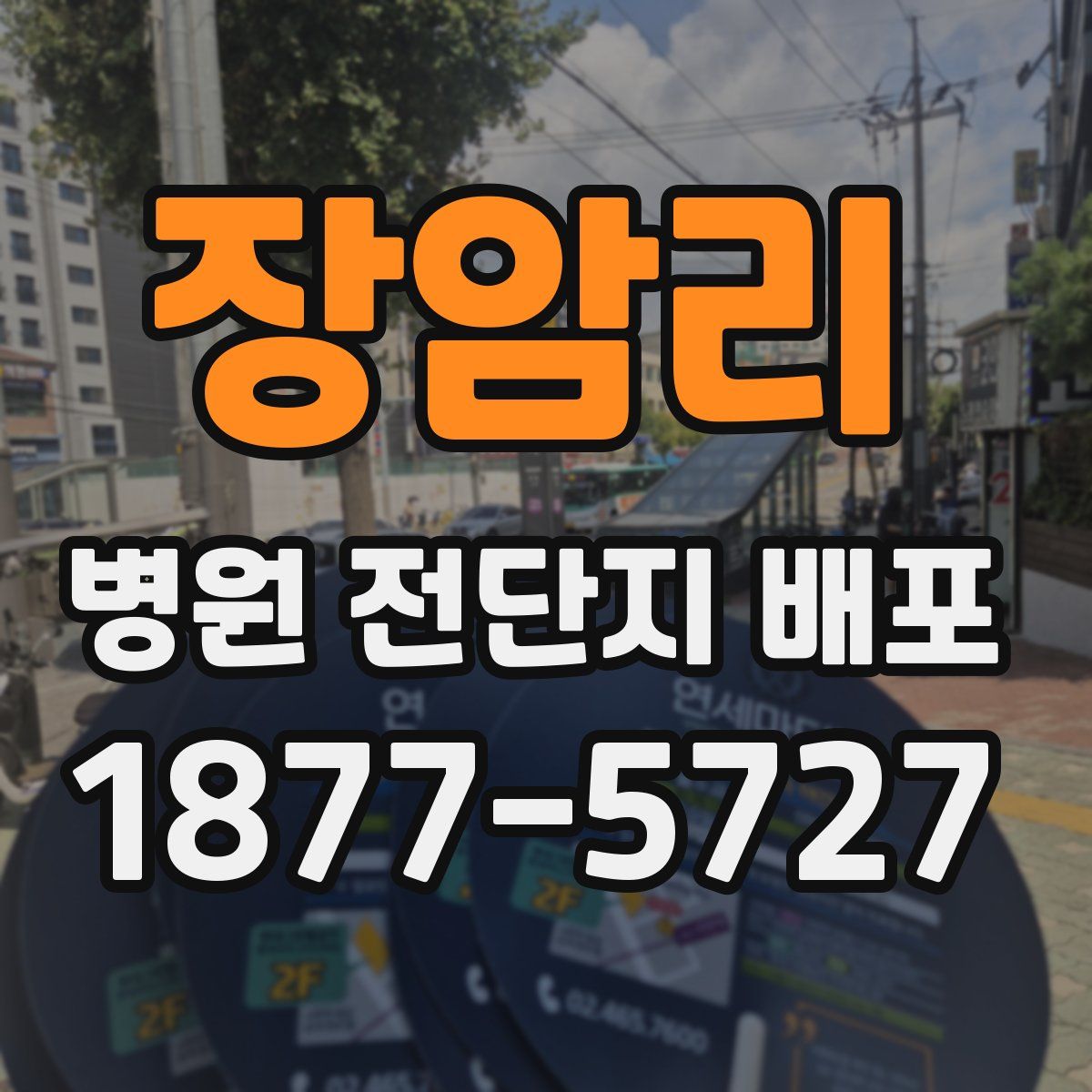 장암리 병원 전단지 배포