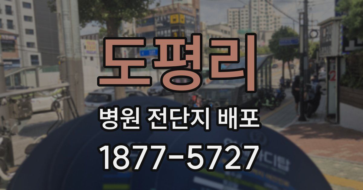 도평리 병원 전단지 배포