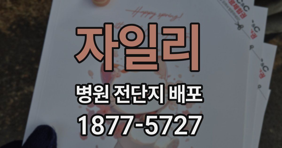 자일리 병원 전단지 배포
