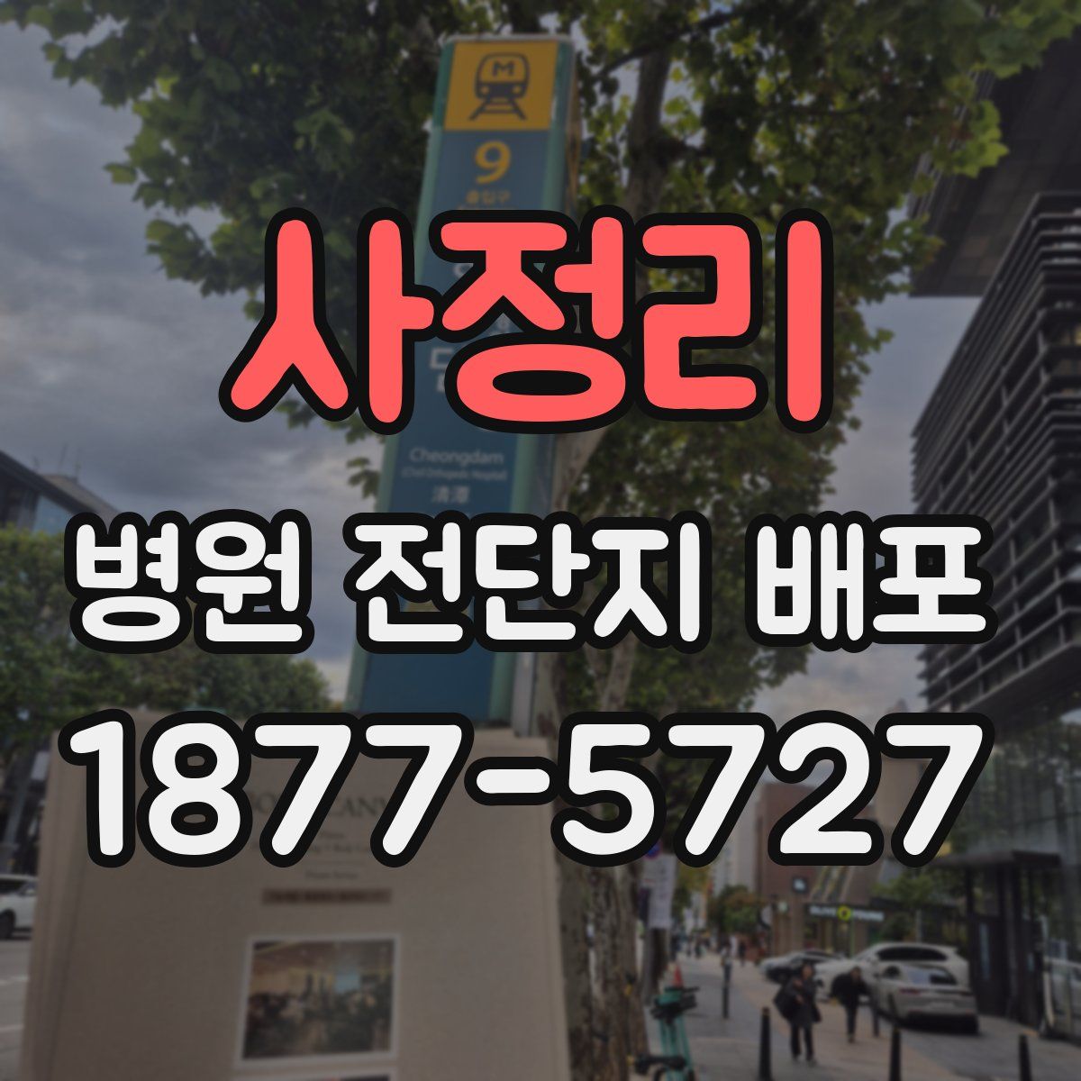 사정리 병원 전단지 배포