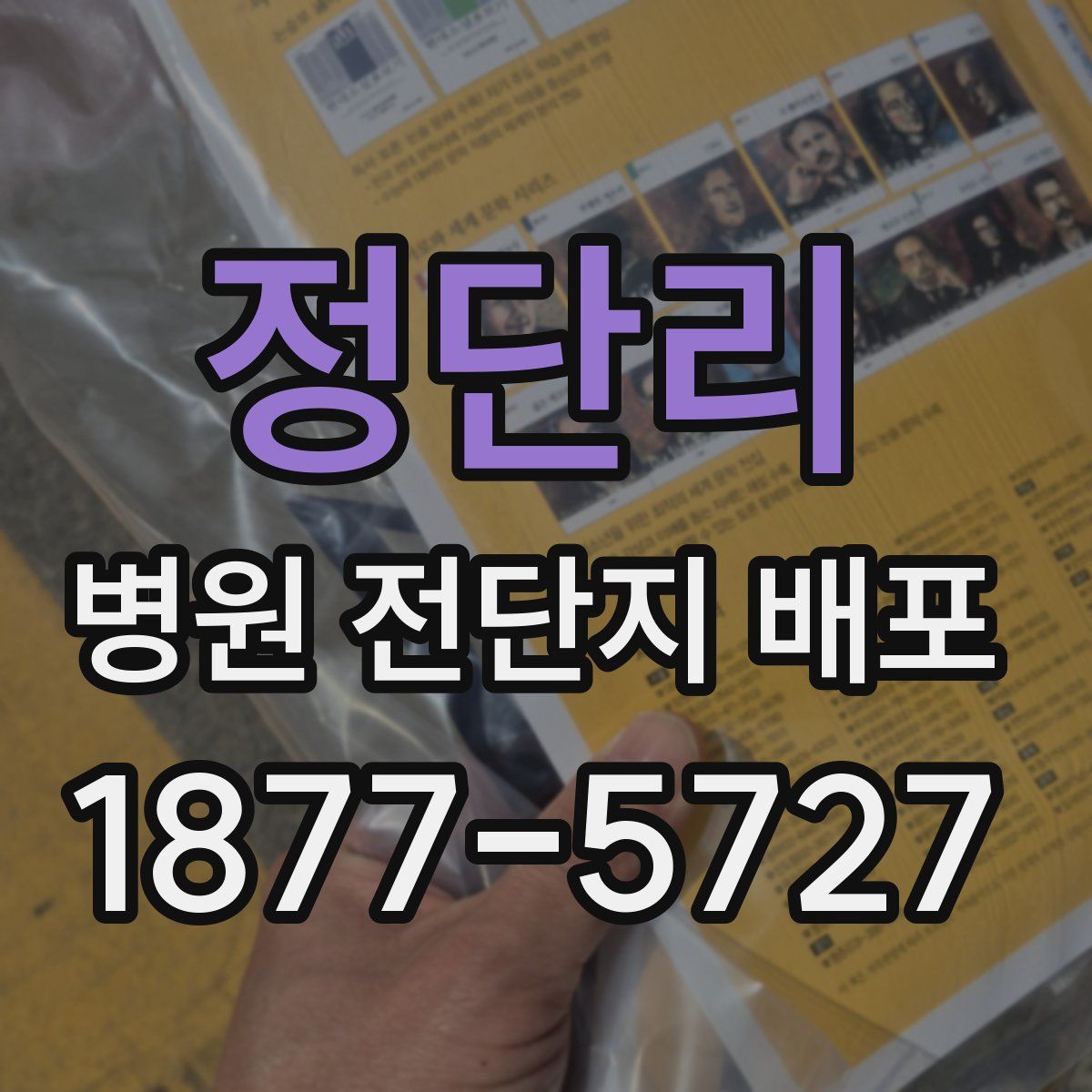 정단리 병원 전단지 배포
