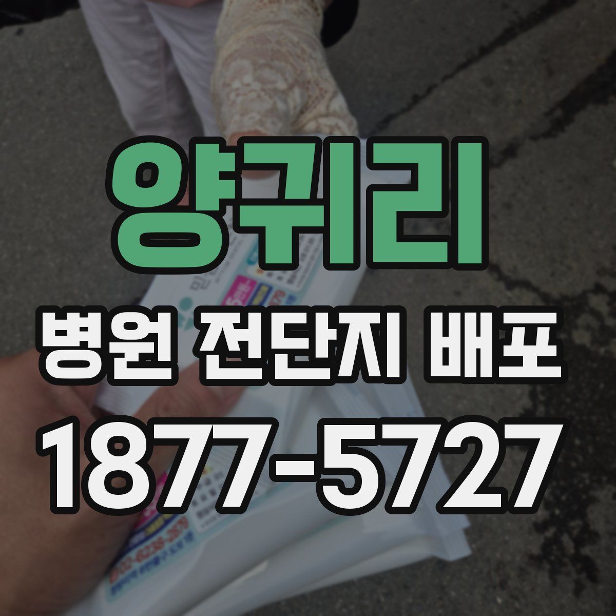 양귀리 병원 전단지 배포