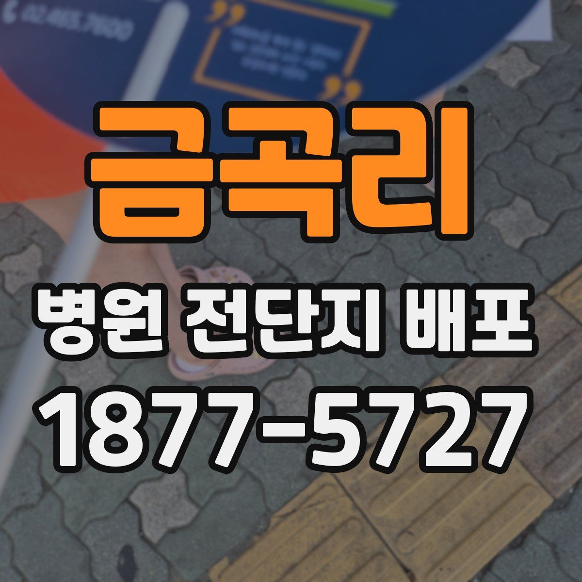 금곡리 병원 전단지 배포