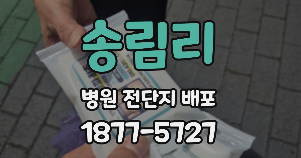 송림리 병원 전단지 배포