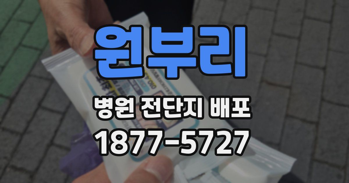 원부리 병원 전단지 배포