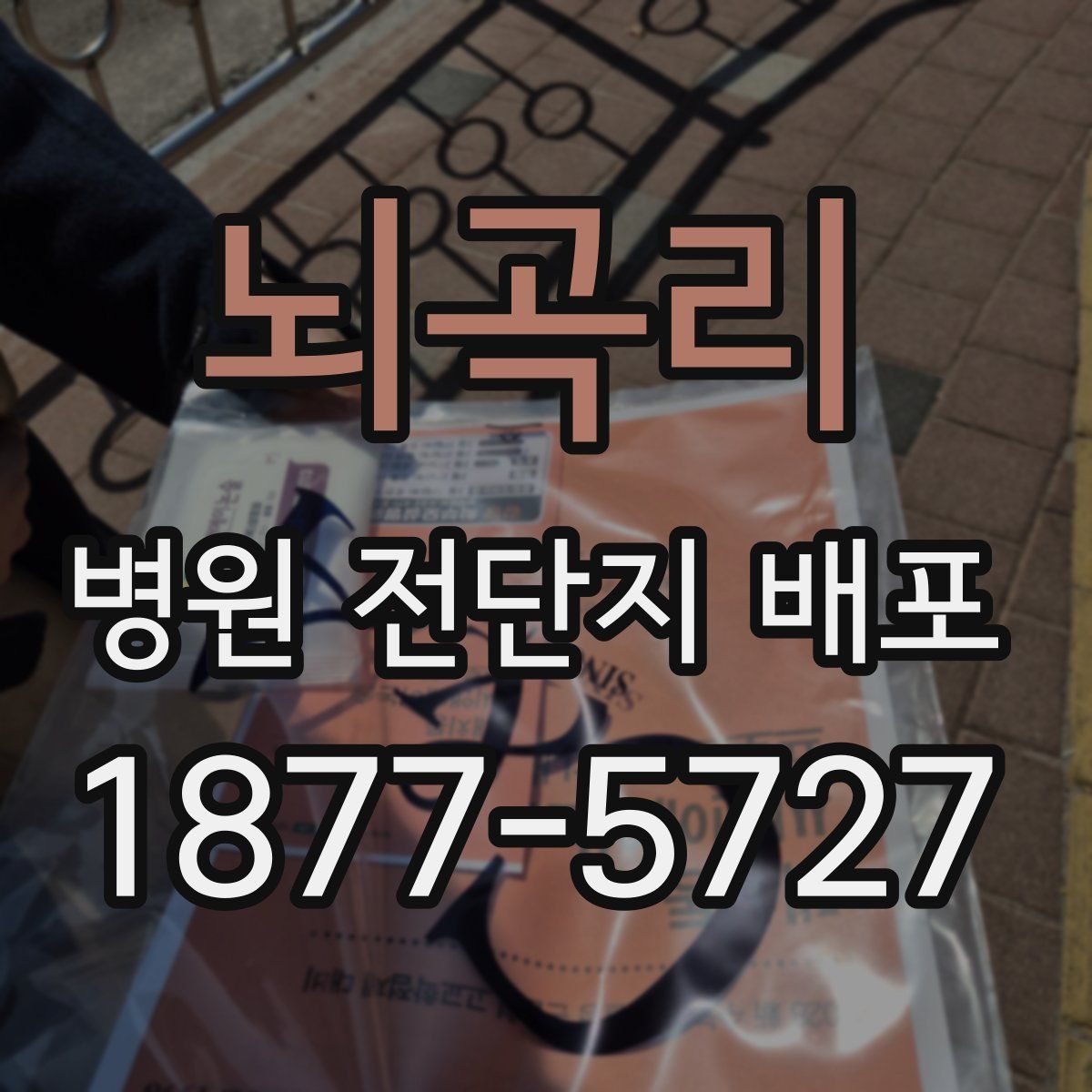 뇌곡리 병원 전단지 배포