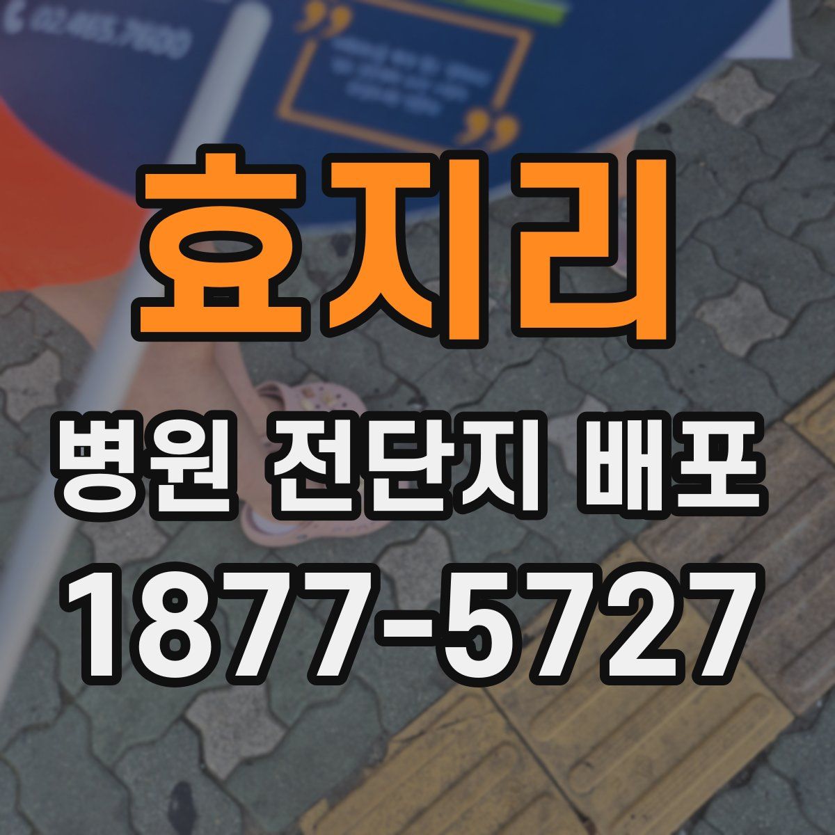 효지리 병원 전단지 배포