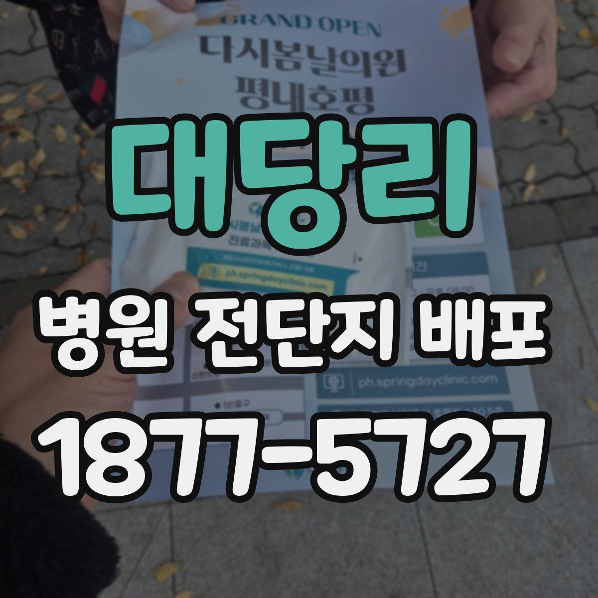 대당리 병원 전단지 배포