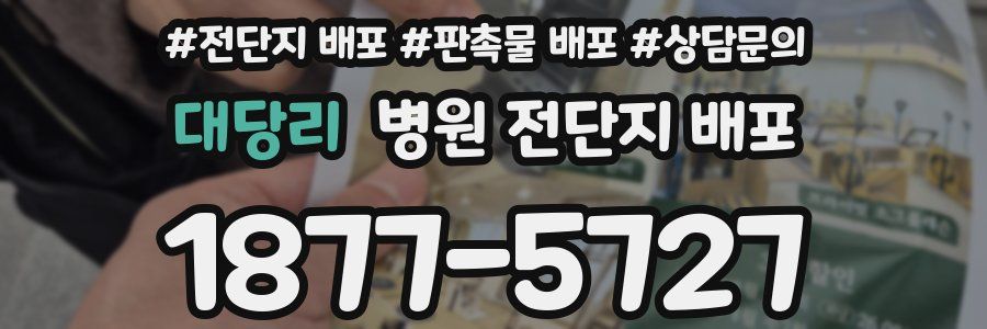 대당리 병원 전단지 배포