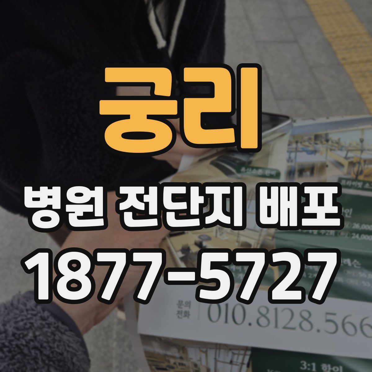 궁리 병원 전단지 배포