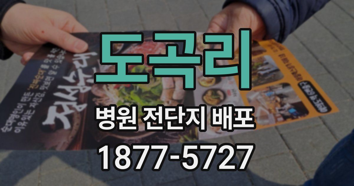 도곡리 병원 전단지 배포