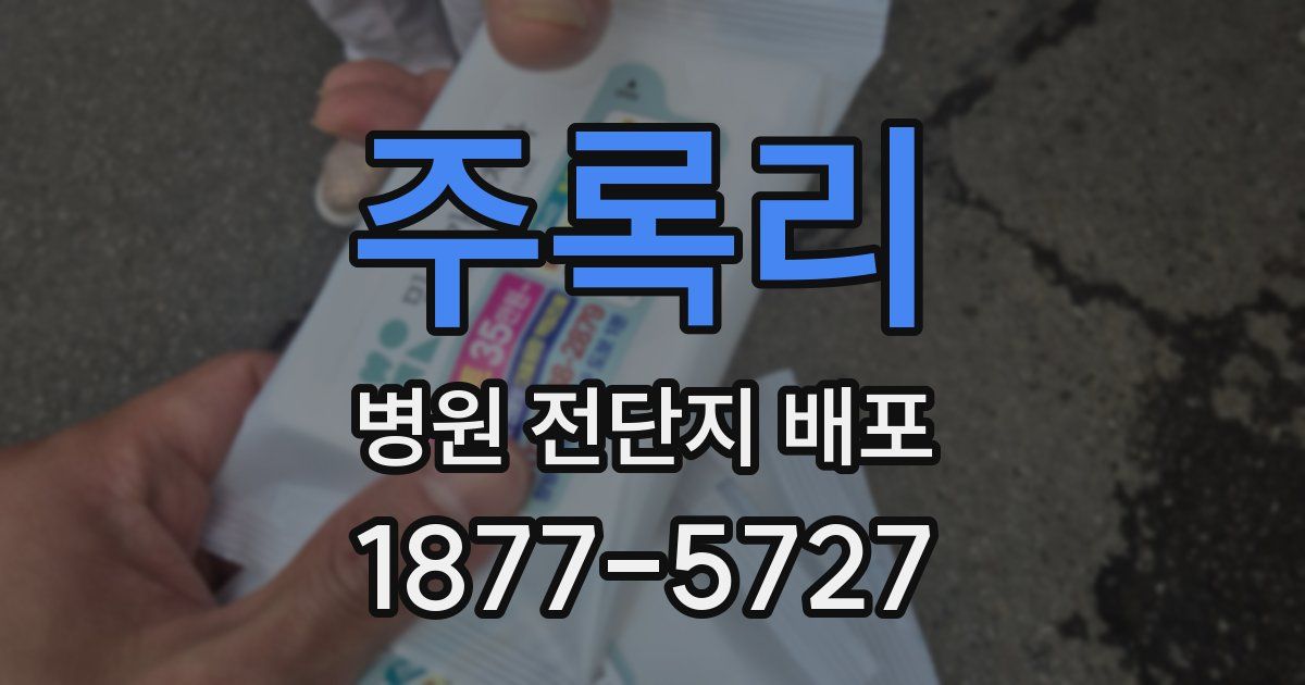 주록리 병원 전단지 배포