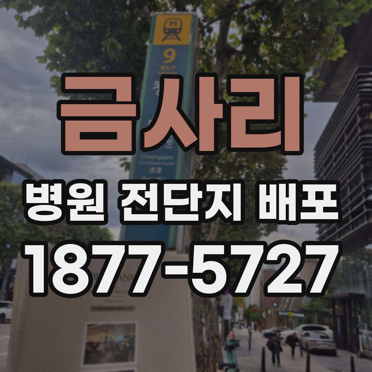 금사리 병원 전단지 배포