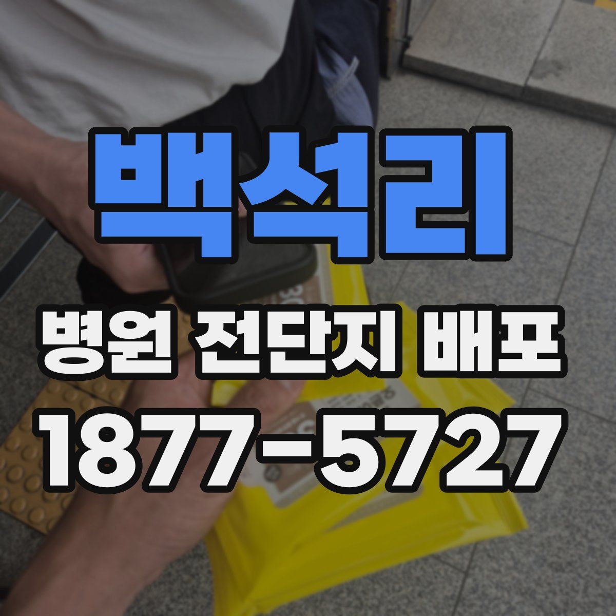 백석리 병원 전단지 배포