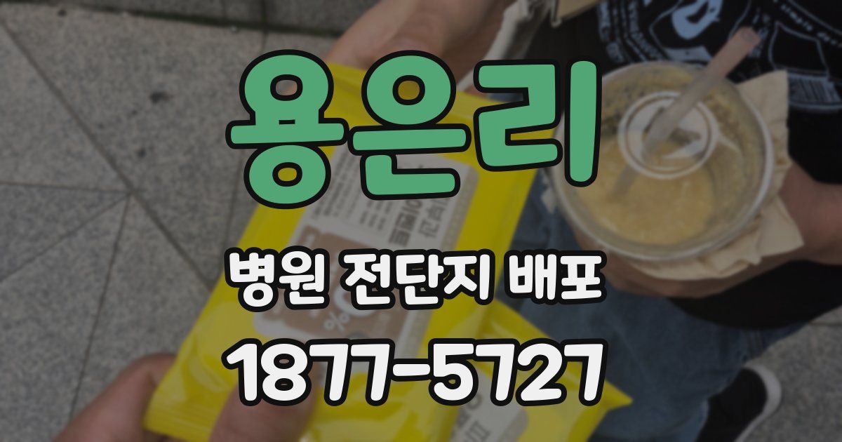 용은리 병원 전단지 배포