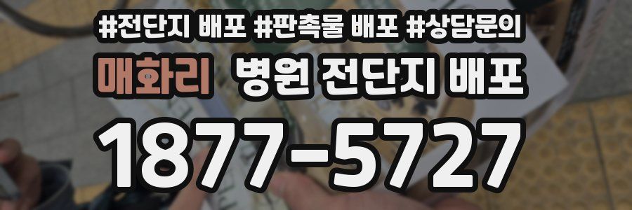 매화리 병원 전단지 배포