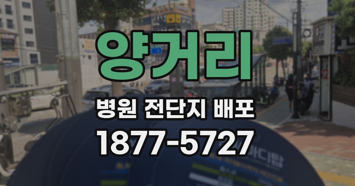 양거리 병원 전단지 배포