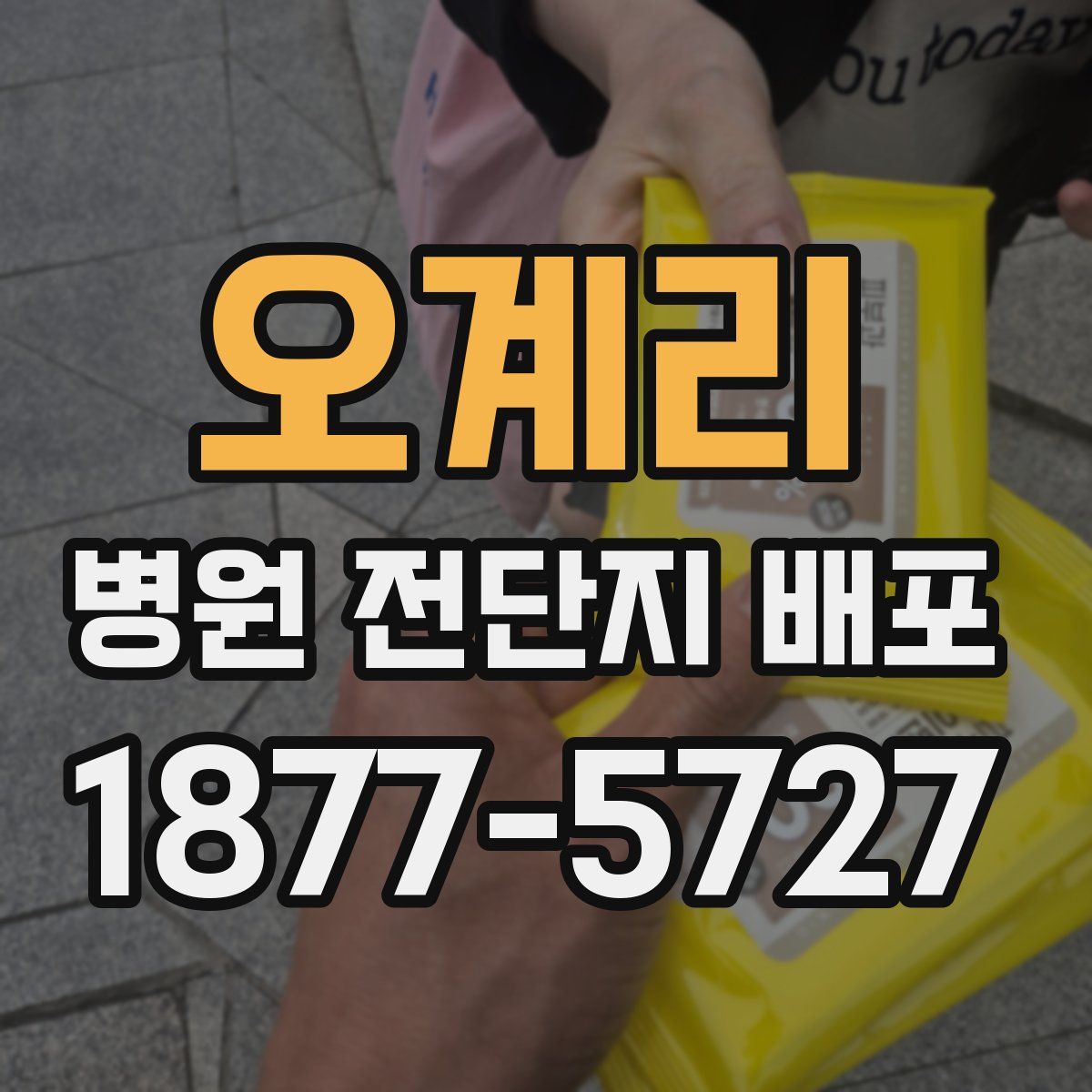 오계리 병원 전단지 배포