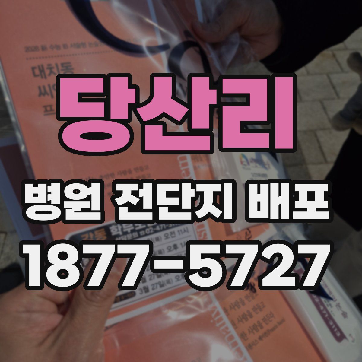 당산리 병원 전단지 배포