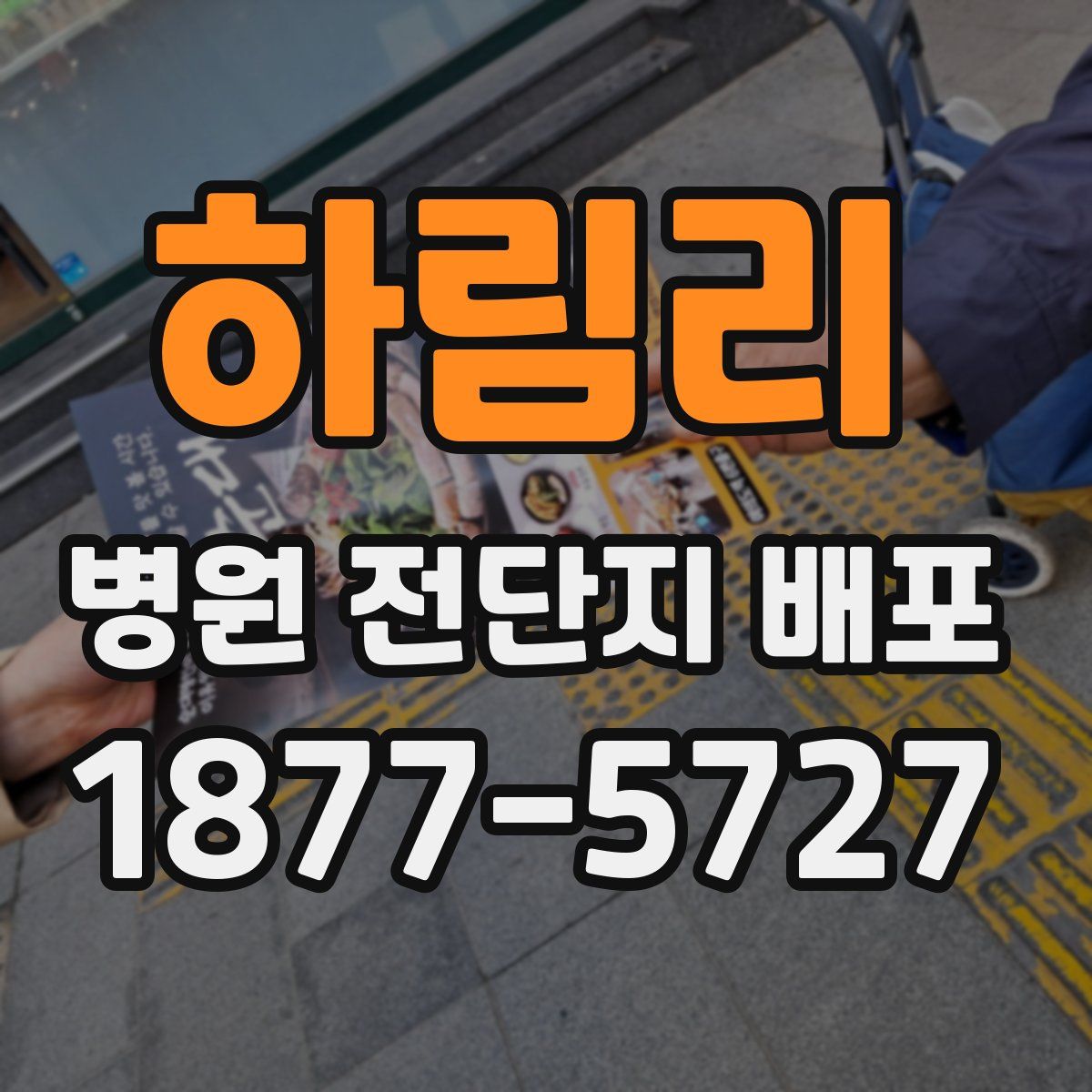 하림리 병원 전단지 배포