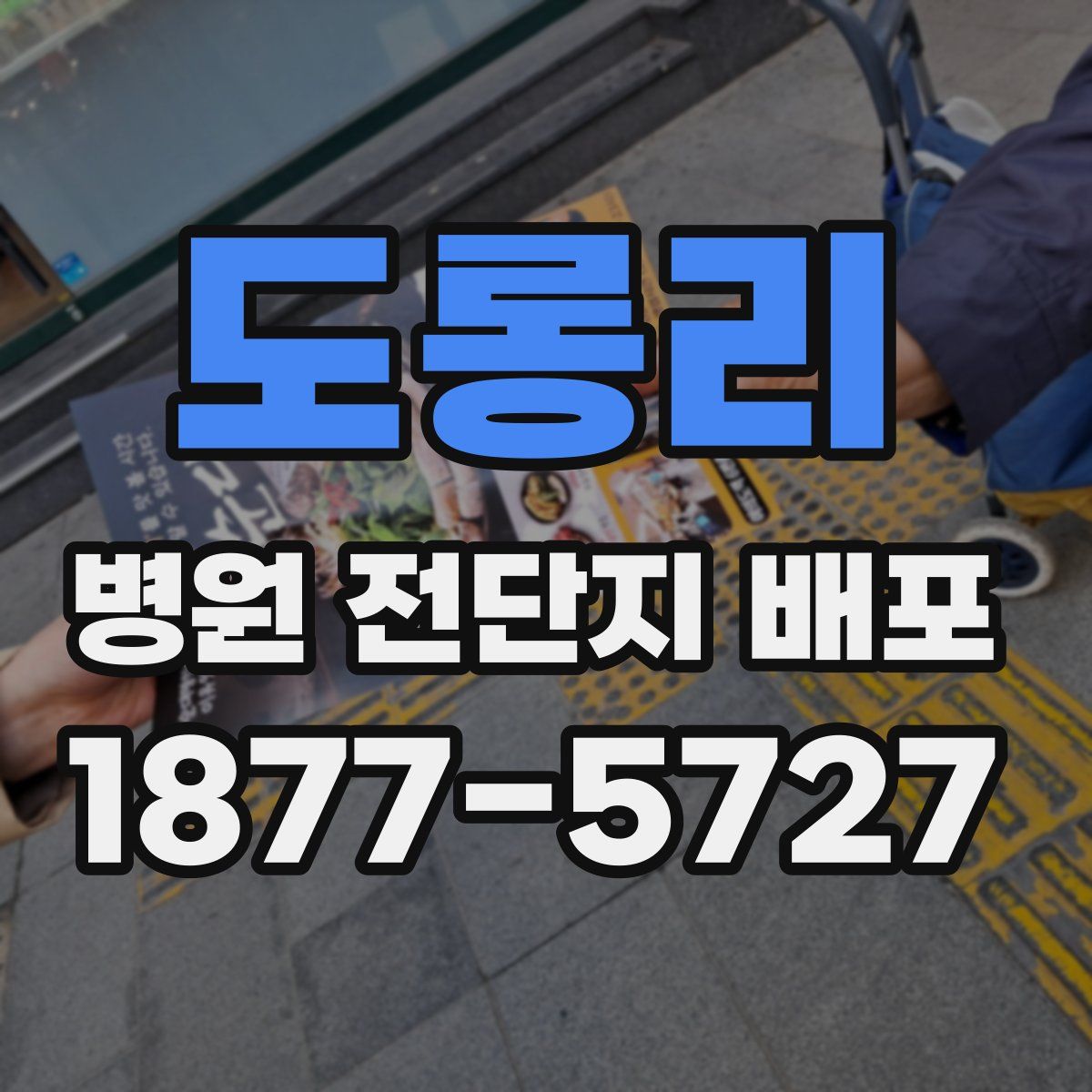 도롱리 병원 전단지 배포