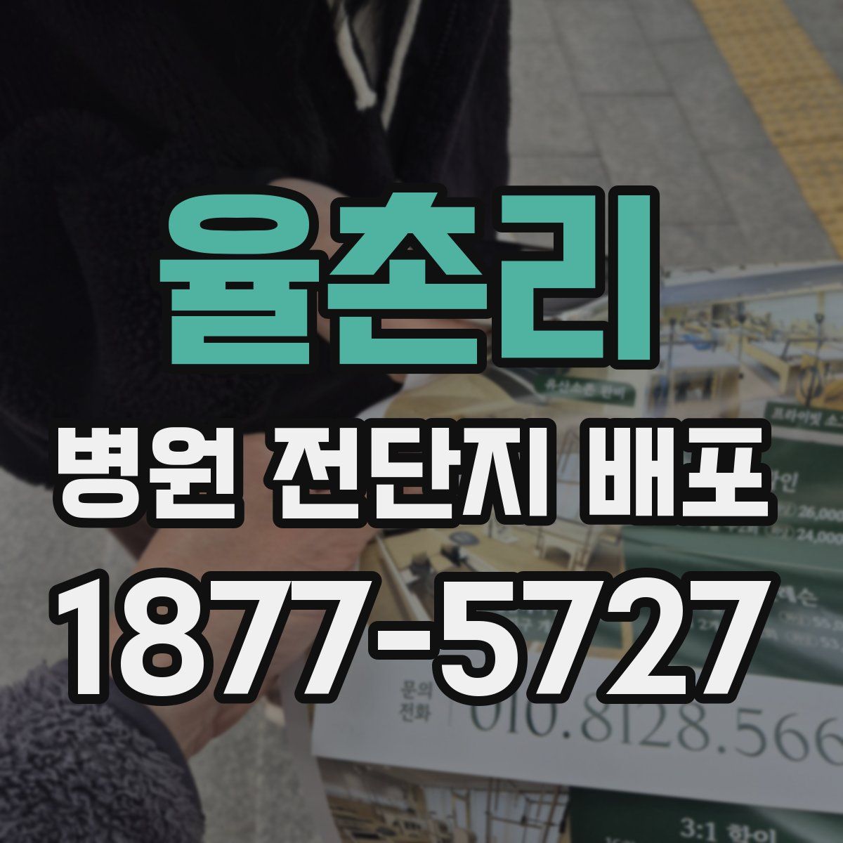 율촌리 병원 전단지 배포
