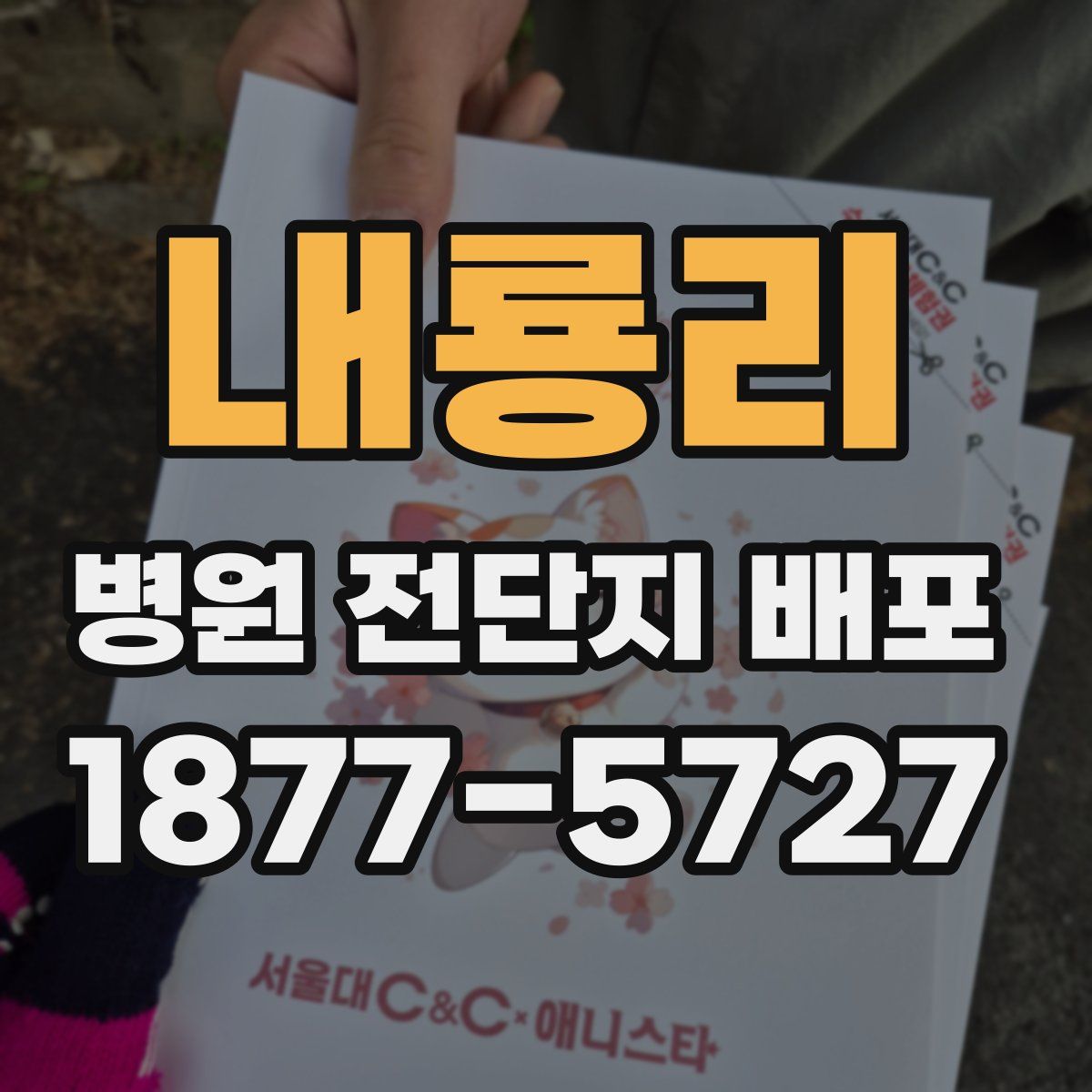 내룡리 병원 전단지 배포