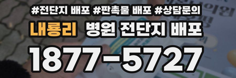 내룡리 병원 전단지 배포