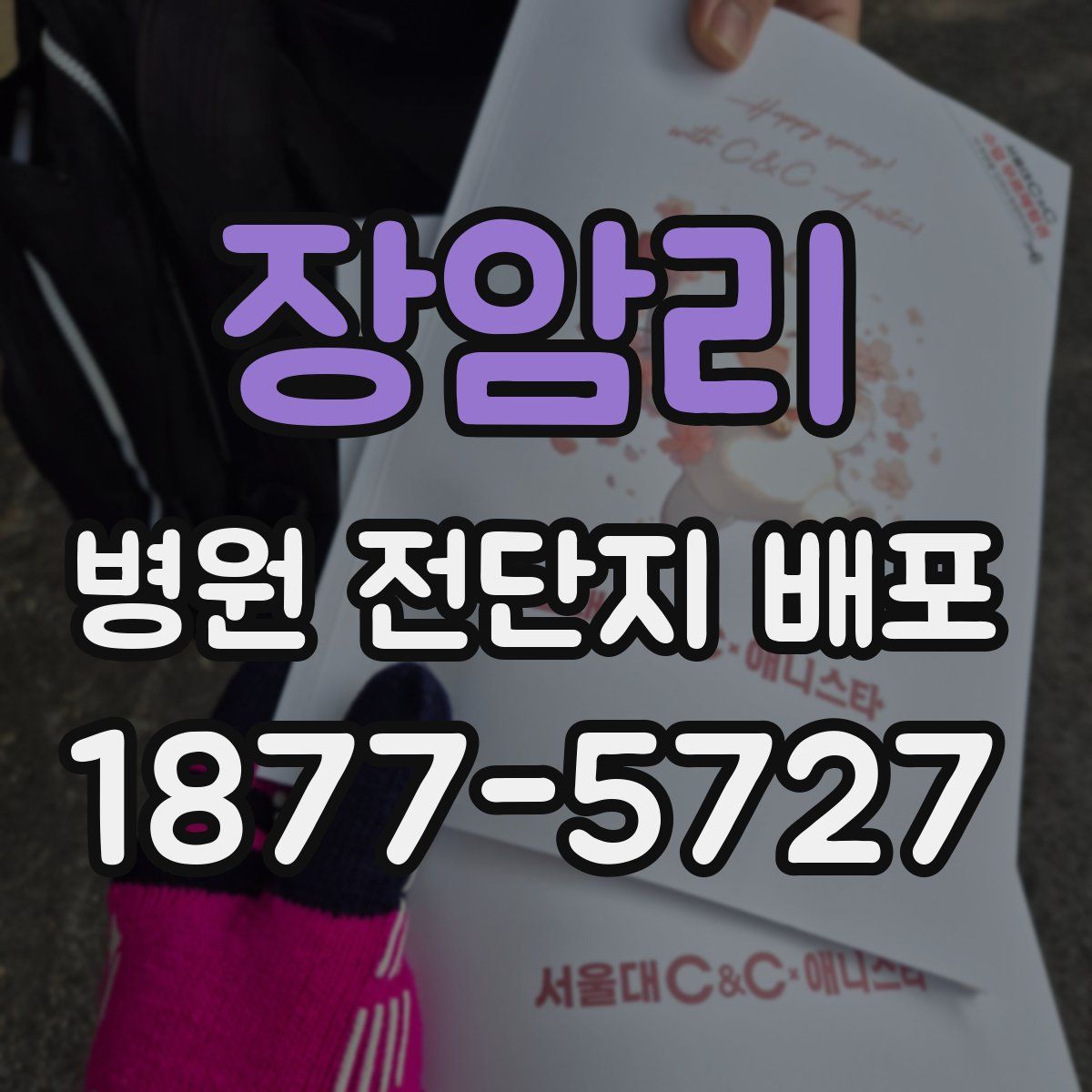 장암리 병원 전단지 배포