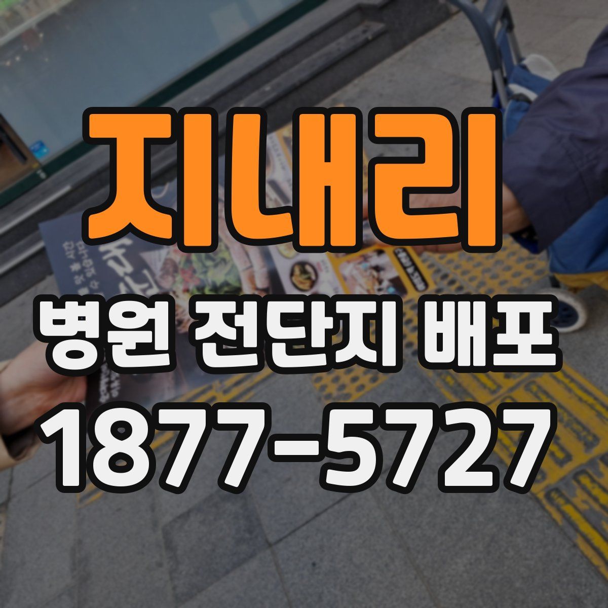 지내리 병원 전단지 배포