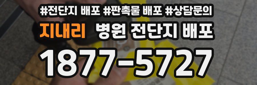 지내리 병원 전단지 배포