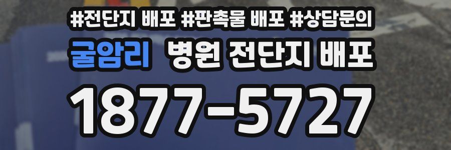 굴암리 병원 전단지 배포