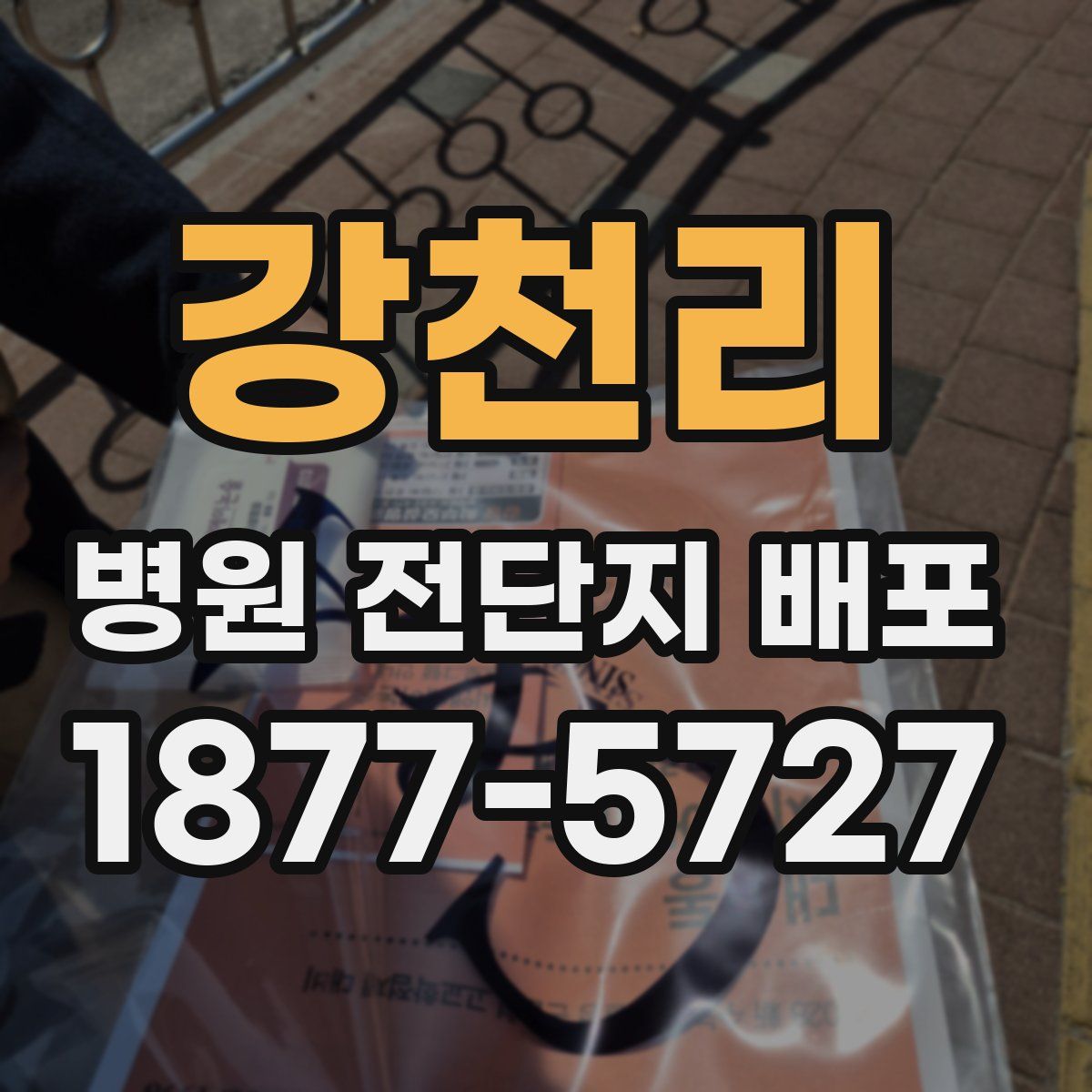 강천리 병원 전단지 배포