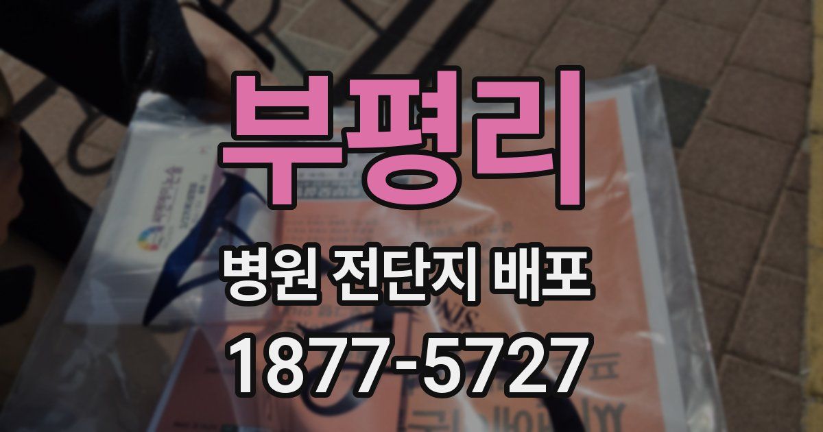 부평리 병원 전단지 배포