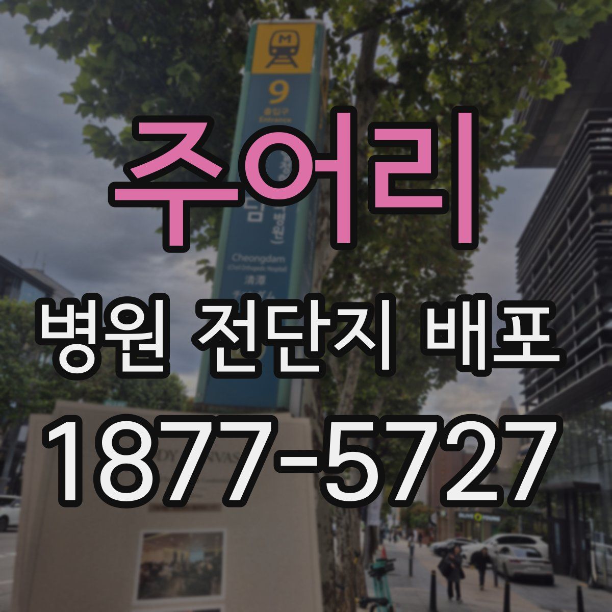 주어리 병원 전단지 배포