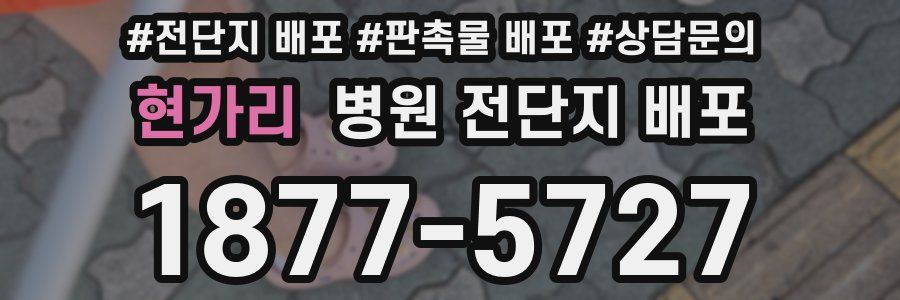 현가리 병원 전단지 배포