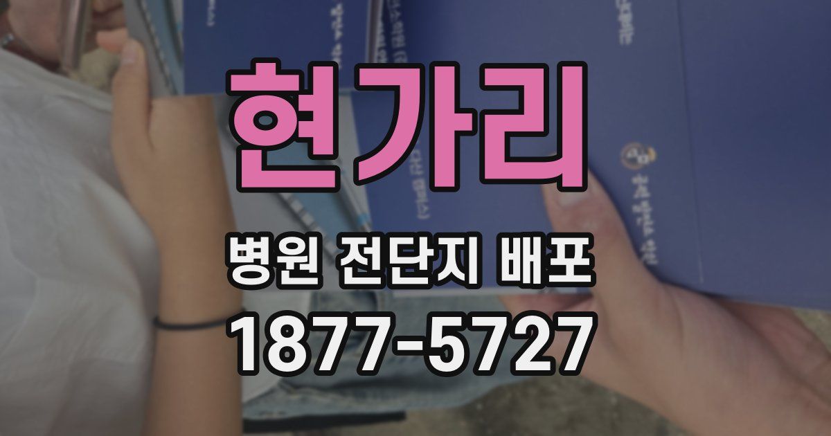 현가리 병원 전단지 배포