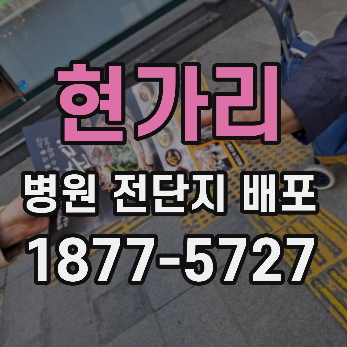 현가리 병원 전단지 배포