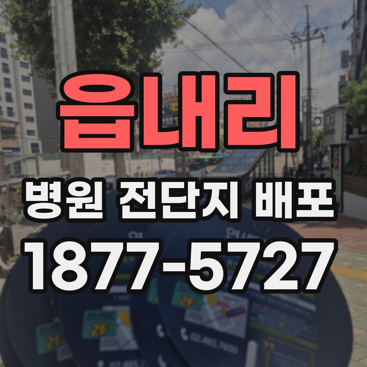 읍내리 병원 전단지 배포